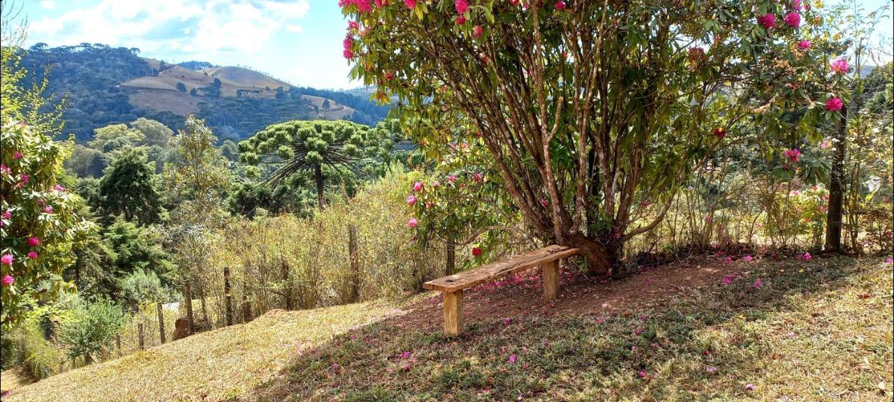 Willa Casa Trilha Campos do Jordão Zewnętrze zdjęcie