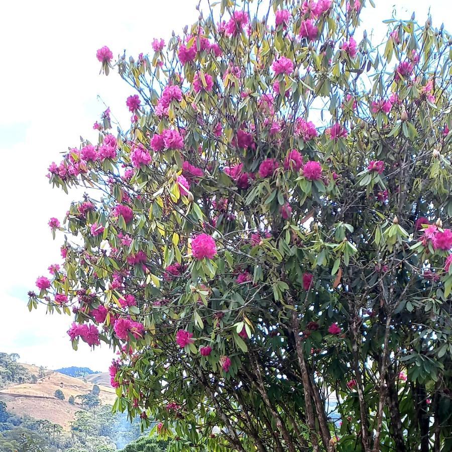 Willa Casa Trilha Campos do Jordão Zewnętrze zdjęcie